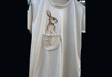 Little next door clothing